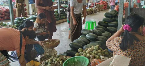 緬甸糧食安全拉響警報(bào) 基礎(chǔ)食品價(jià)格飆升，初級農(nóng)產(chǎn)品收購體系面臨挑戰(zhàn)